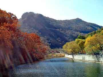 正版澳门天天开彩大全，导电银浆价格